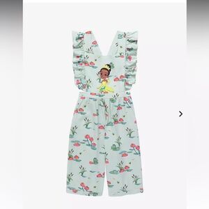 Disney The Princess and the Frog Lily Pads & Flowers Ruffle Jumper 5T NWT